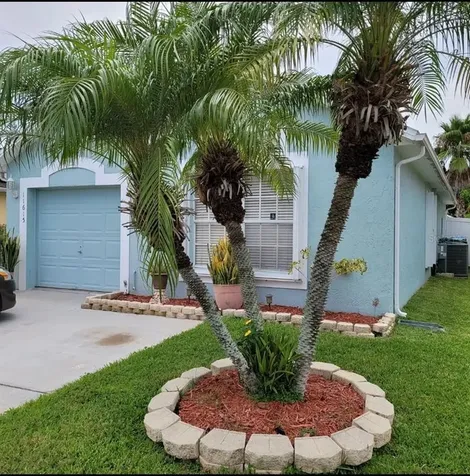 11615 Purple Lilac Circle Orlando FL 32837