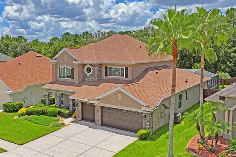 23518 Vistamar Court Land O Lakes FL 34639