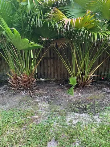 6343 Osprey Lake Circle Riverview FL 33578