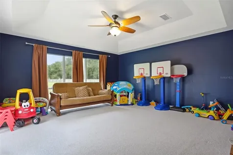 9442 Swift Creek Circle Dover FL 33527