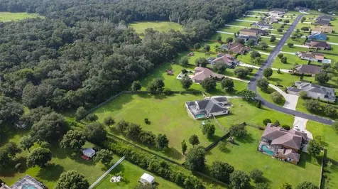 9442 Swift Creek Circle Dover FL 33527