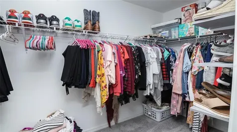 4906 White Chicory Drive Apollo Beach FL 33572