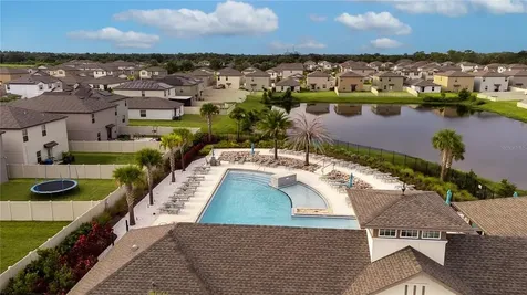 4906 White Chicory Drive Apollo Beach FL 33572