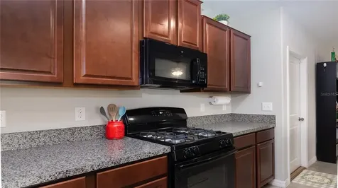 4906 White Chicory Drive Apollo Beach FL 33572