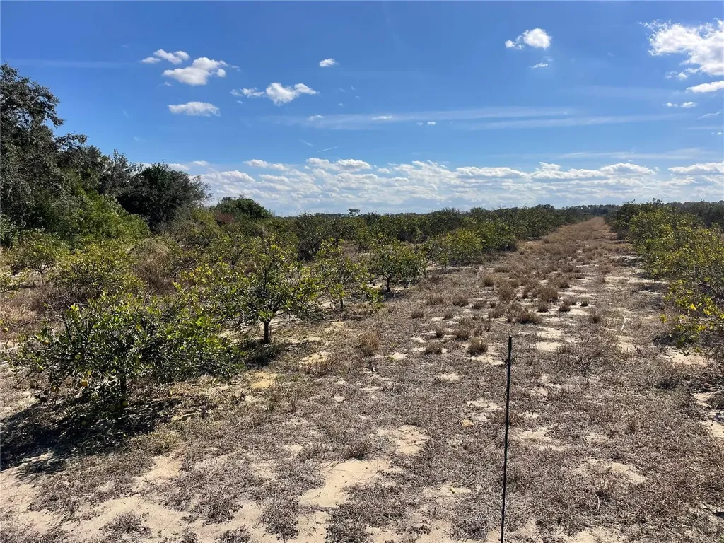 Lawrence Stewart Road Frostproof FL 33843