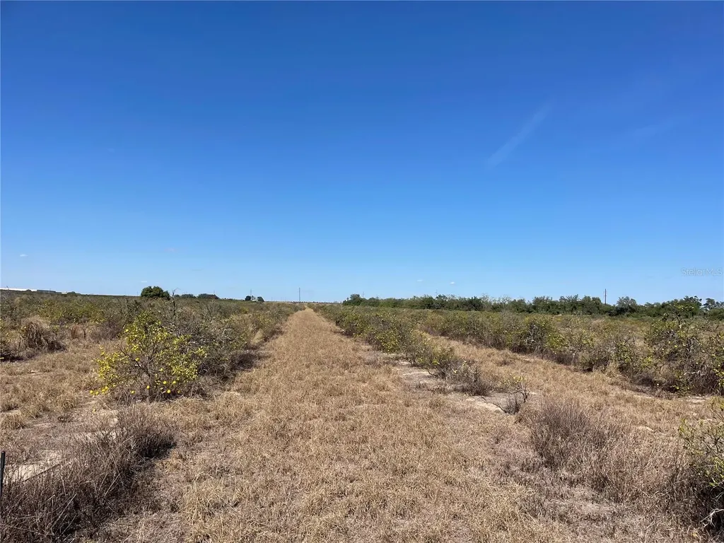 Lawrence Stewart Road Frostproof FL 33843