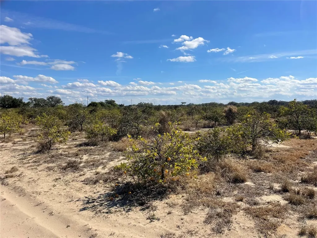 Lawrence Stewart Road Frostproof FL 33843