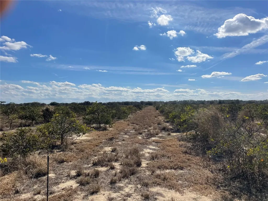 Lawrence Stewart Road Frostproof FL 33843