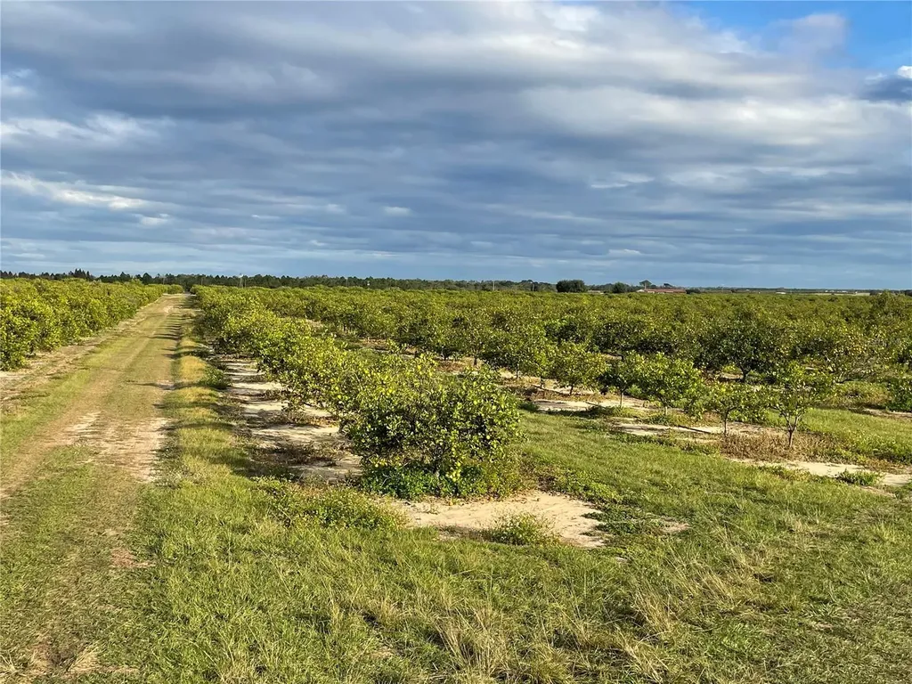 Lawrence Stewart Road Frostproof FL 33843