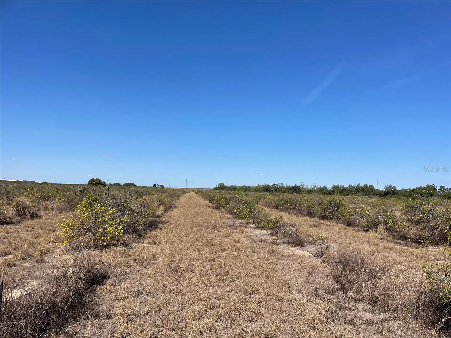 Lawrence Stewart Road Frostproof FL 33843