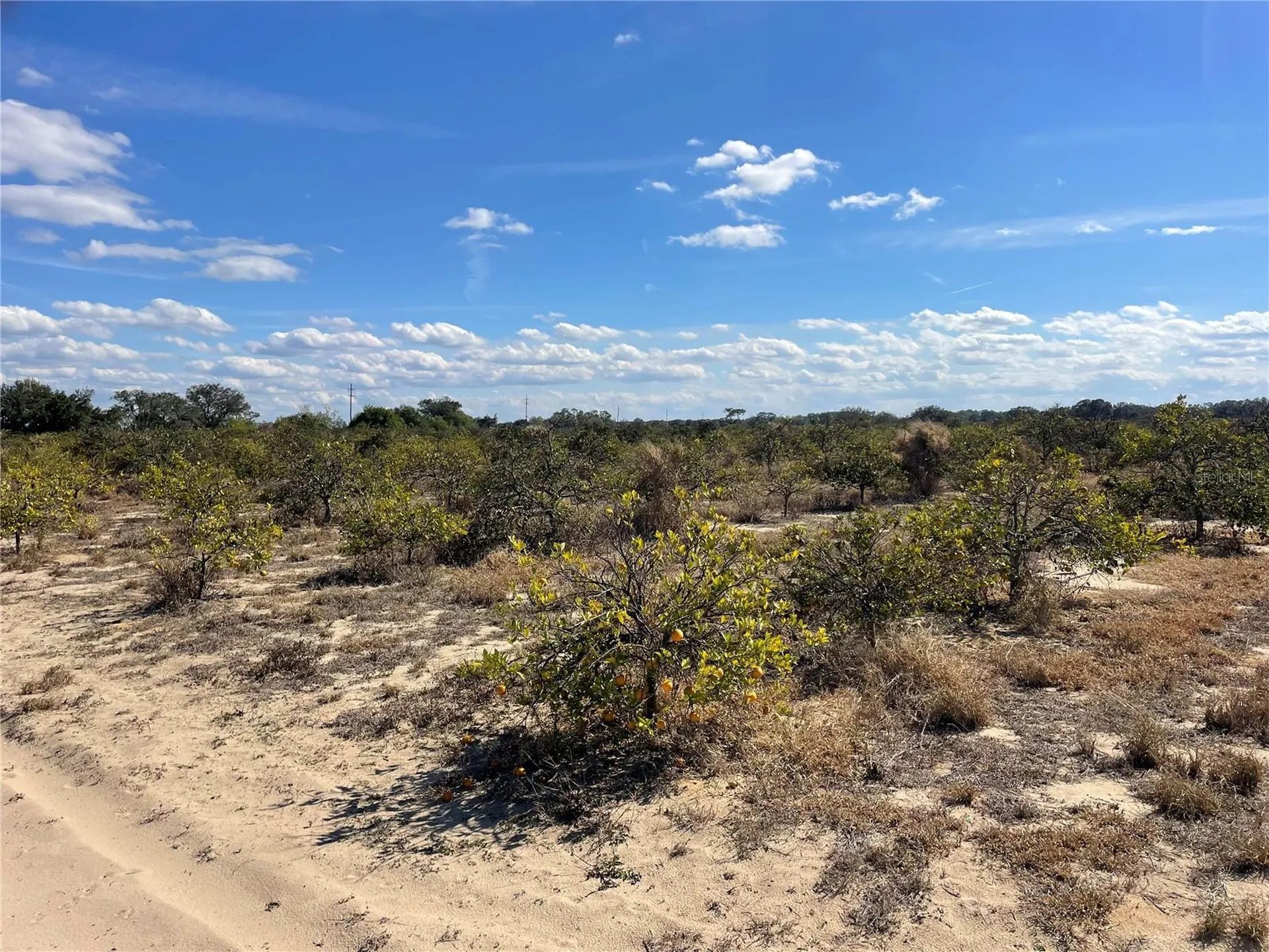 Lawrence Stewart Road Frostproof FL 33843