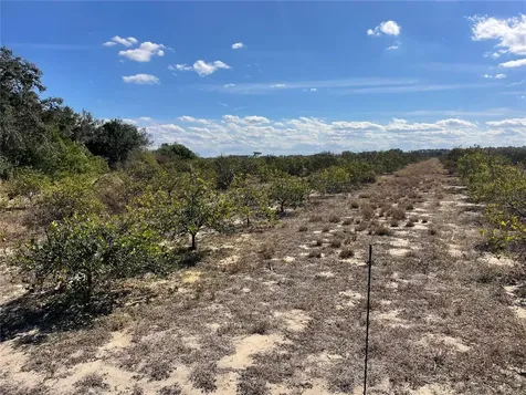 Lawrence Stewart Road Frostproof FL 33843