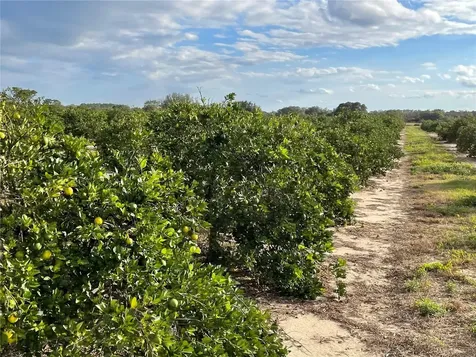 Lawrence Stewart Road Frostproof FL 33843