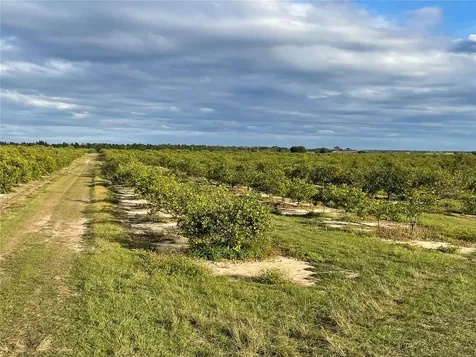 Lawrence Stewart Road Frostproof FL 33843