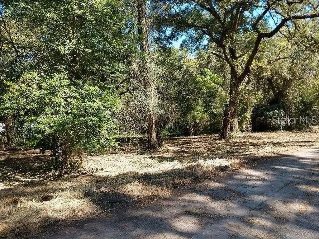 10585 SE 130th Lane Ocklawaha FL 32179