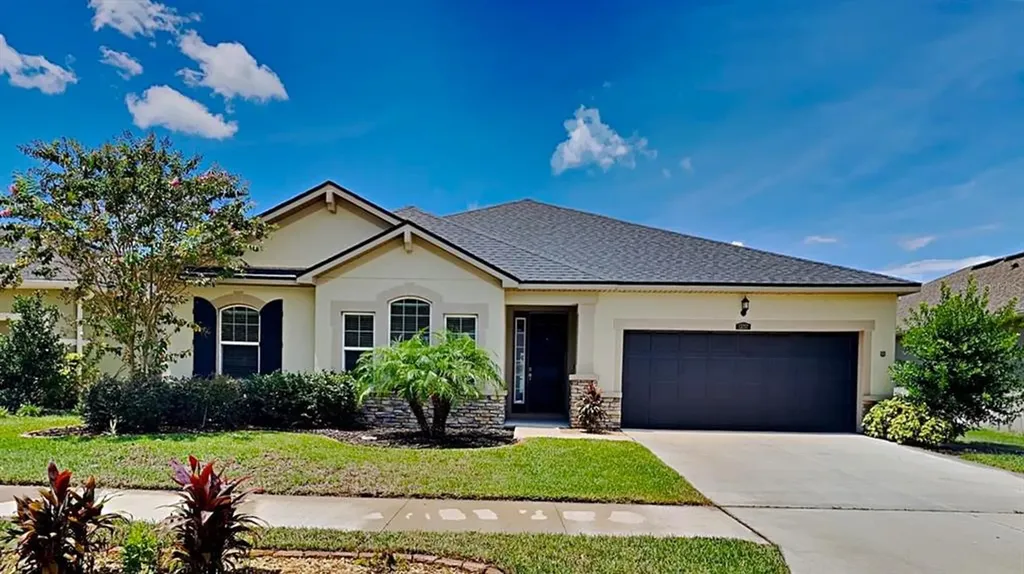 13252 Baby Belle Drive Riverview FL 33579