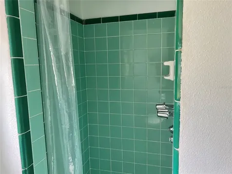 4909 N Darby Avenue Tampa FL 33603