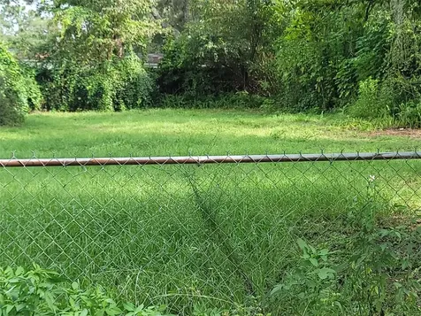 17396 SE 65th Street Ocklawaha FL 32179