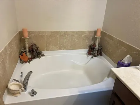 3722 Umbrella Court Tavares FL 32778