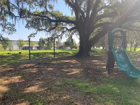 3722 Umbrella Court Tavares FL 32778