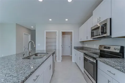 31258 Barrel Wave Way Wesley Chapel FL 33545