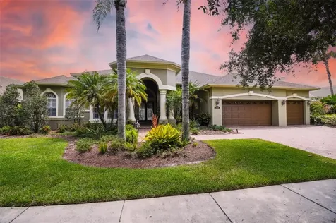20928 Lake Vienna Drive Land O Lakes FL 34638