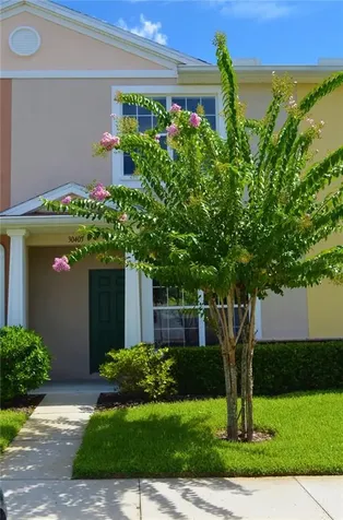 30405 Elderwood Drive Wesley Chapel FL 33543
