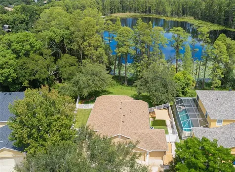 5527 Lake Leta Boulevard Tampa FL 33624