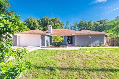 2804 Kimmi Tree Lane Valrico FL 33594
