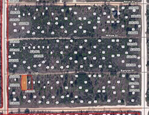 00 Banvon Interlachen FL 32148