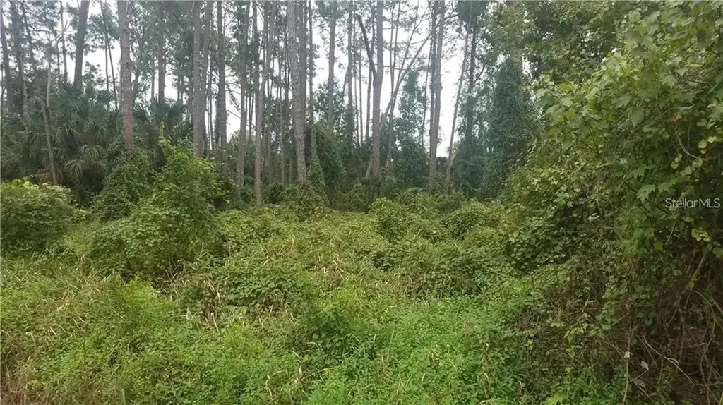 393 W Highbanks Road Debary FL 32713