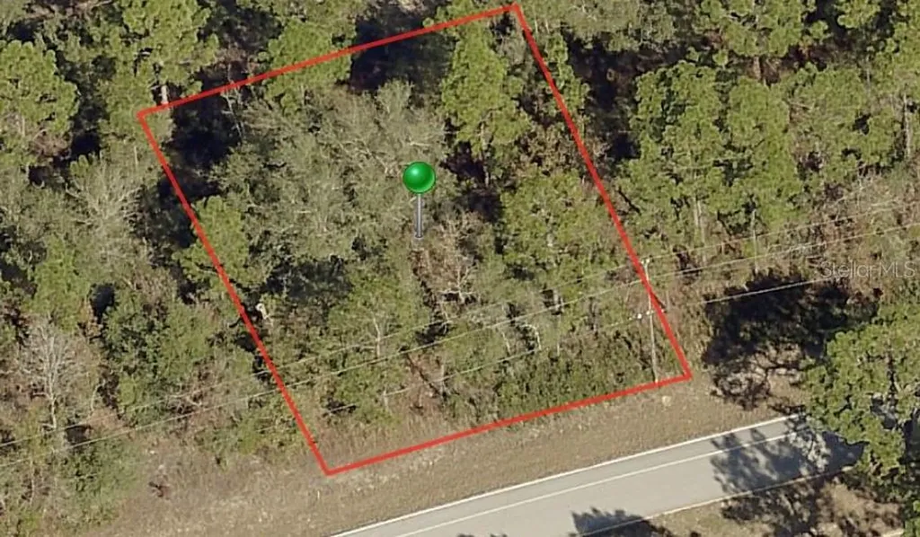 9234 N Citrus Springs Boulevard Citrus Springs FL 34433