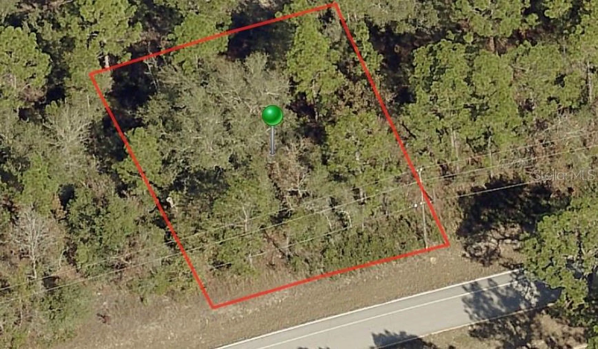 9234 N Citrus Springs Boulevard Citrus Springs FL 34433