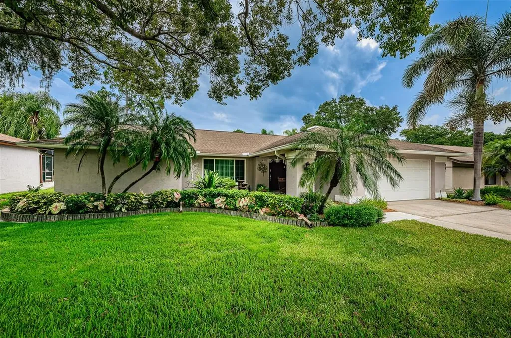 3118 Blue Heron Street Safety Harbor FL 34695