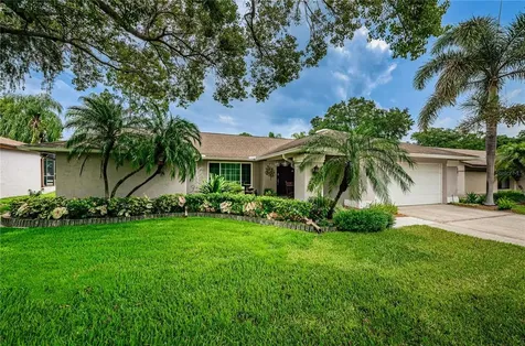 3118 Blue Heron Street Safety Harbor FL 34695