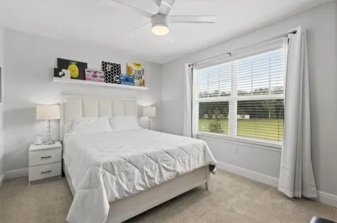 14144 Damselfly Drive Tampa FL 33625