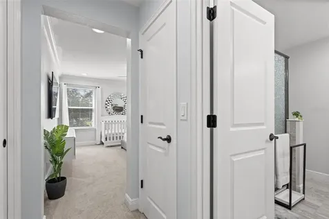 14144 Damselfly Drive Tampa FL 33625