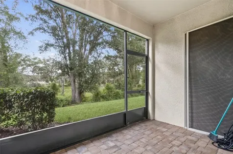 14144 Damselfly Drive Tampa FL 33625