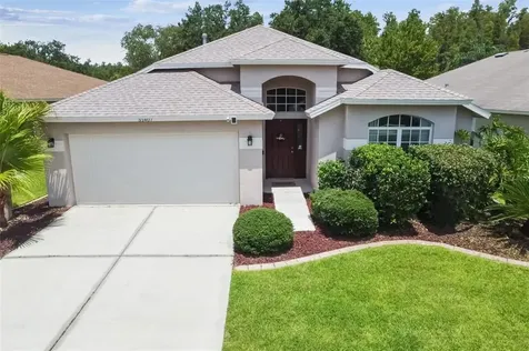 31407 Wrencrest Drive Wesley Chapel FL 33543
