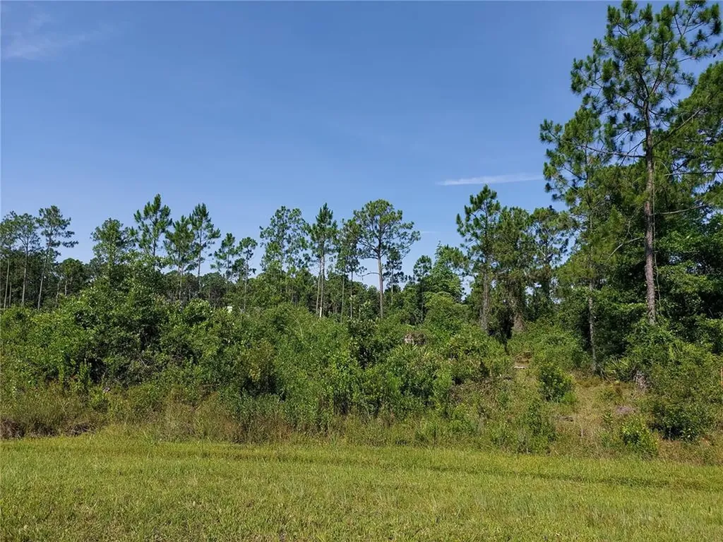 14008 SE 204th Terrace Hawthorne FL 32640