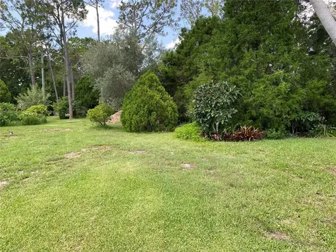 2930 Macalpin Drive W Palm Harbor FL 34684