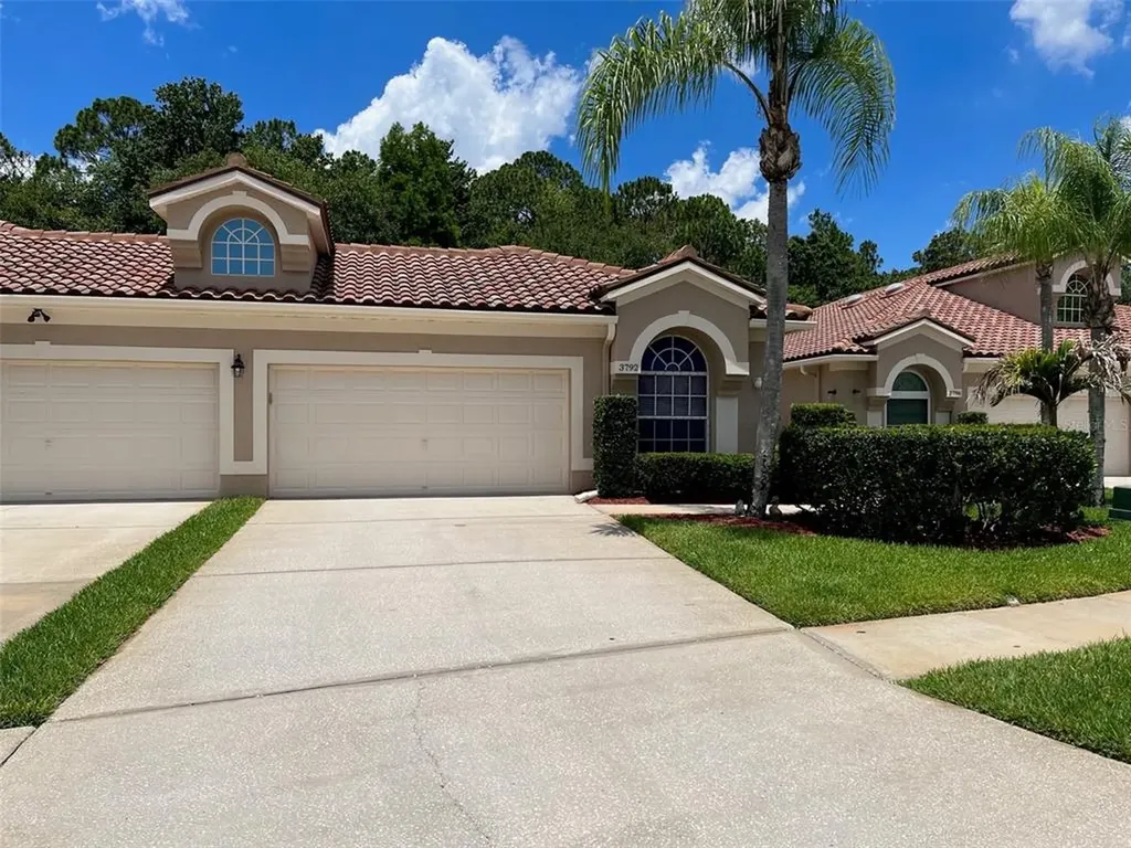 3792 Darston Street Palm Harbor FL 34685