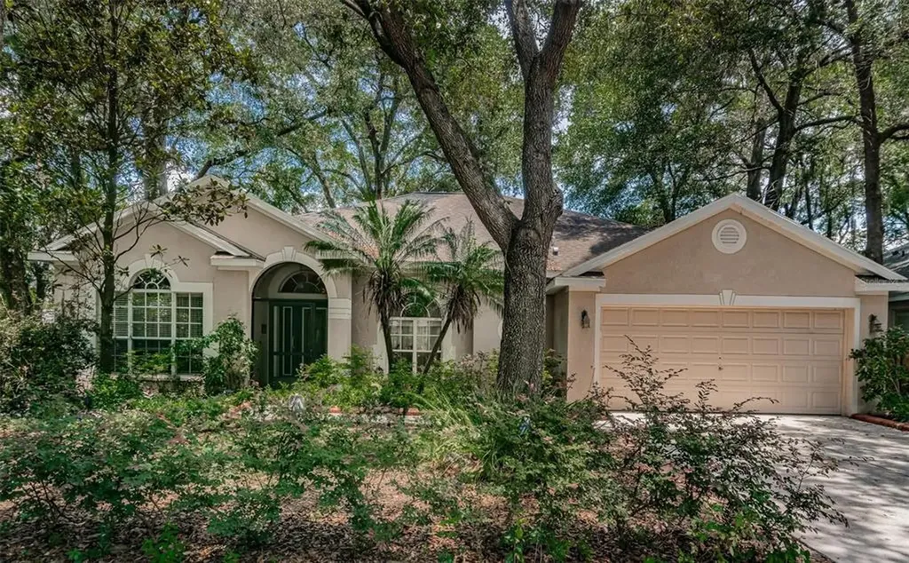 2102 Fawn Meadow Drive Valrico FL 33594