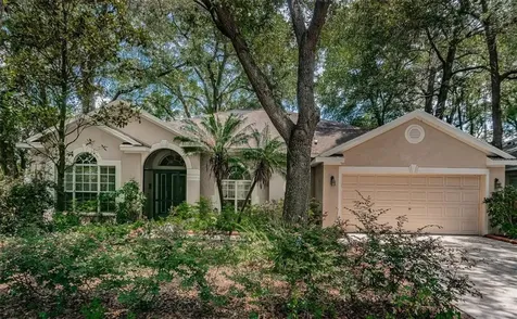 2102 Fawn Meadow Drive Valrico FL 33594
