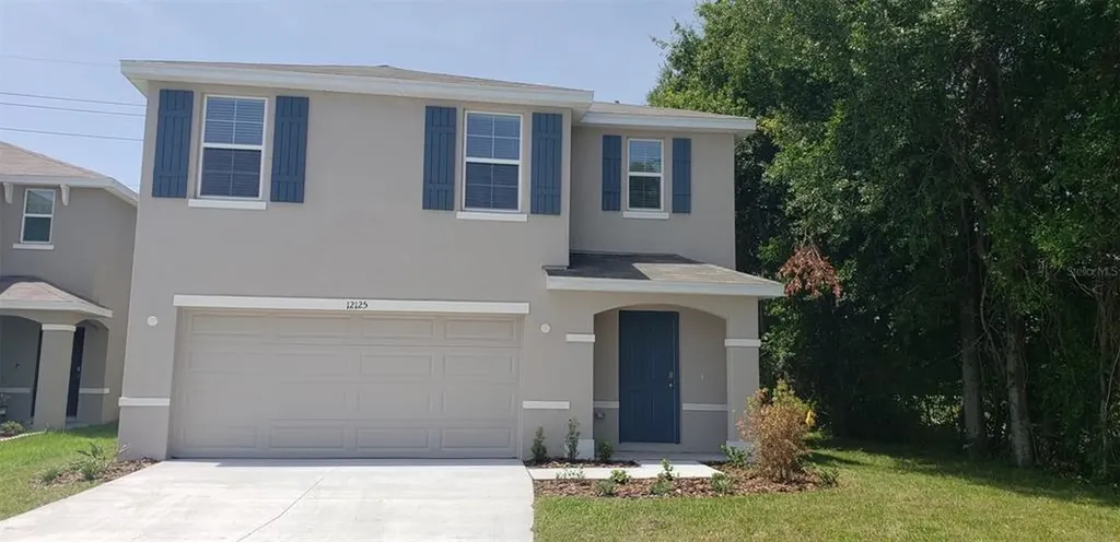 12125 Downy Birch Drive Riverview FL 33569