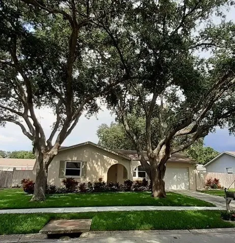2613 Summit Street Palm Harbor FL 34683