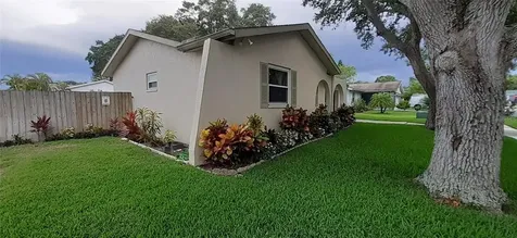 2613 Summit Street Palm Harbor FL 34683
