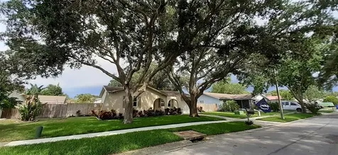 2613 Summit Street Palm Harbor FL 34683