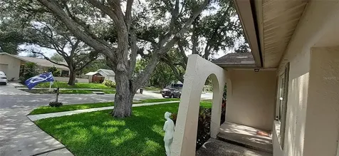 2613 Summit Street Palm Harbor FL 34683