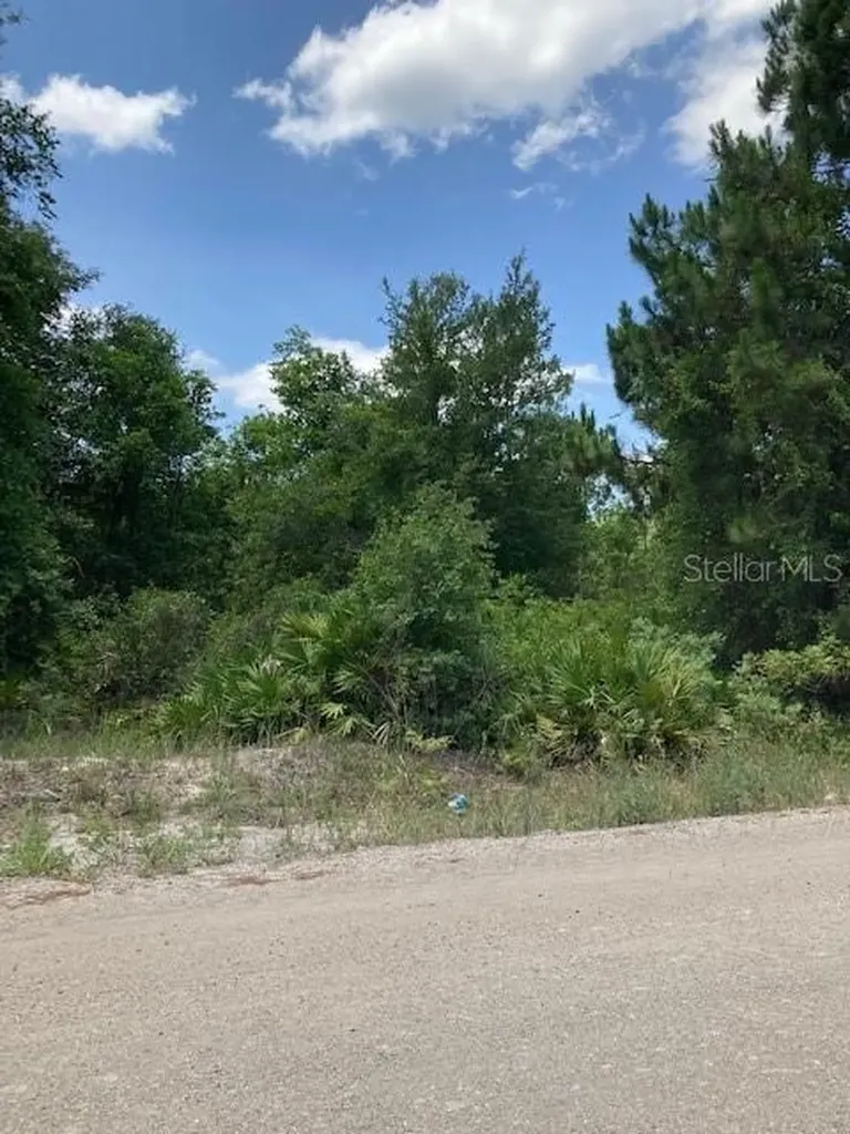 15820 Wilson Parrish Road Umatilla FL 32784